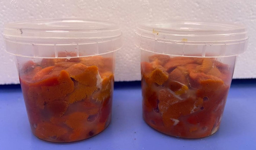 Polpa di riccio Galizia congelata da 100 g (conf. da 20 pz)