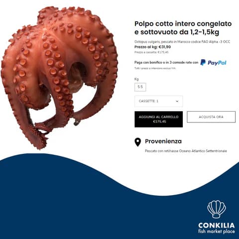 Esempio prodotto pronta consegna