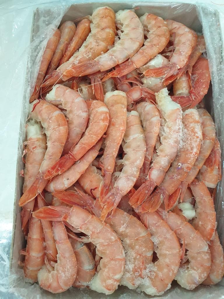 Gambero Rosa Indopacifico - Code