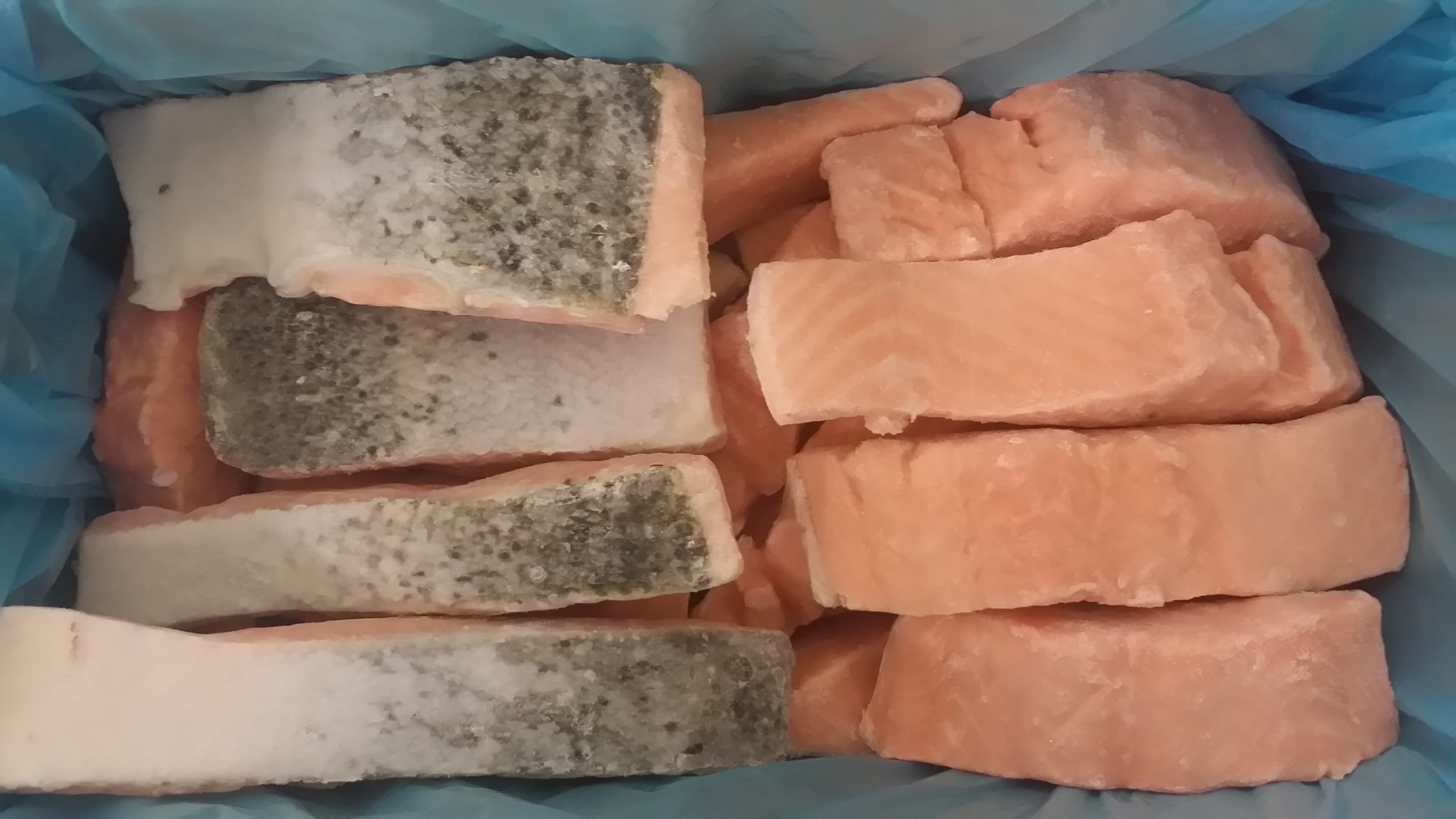 Porzioni Di Salmone Norvegese C/Pelle