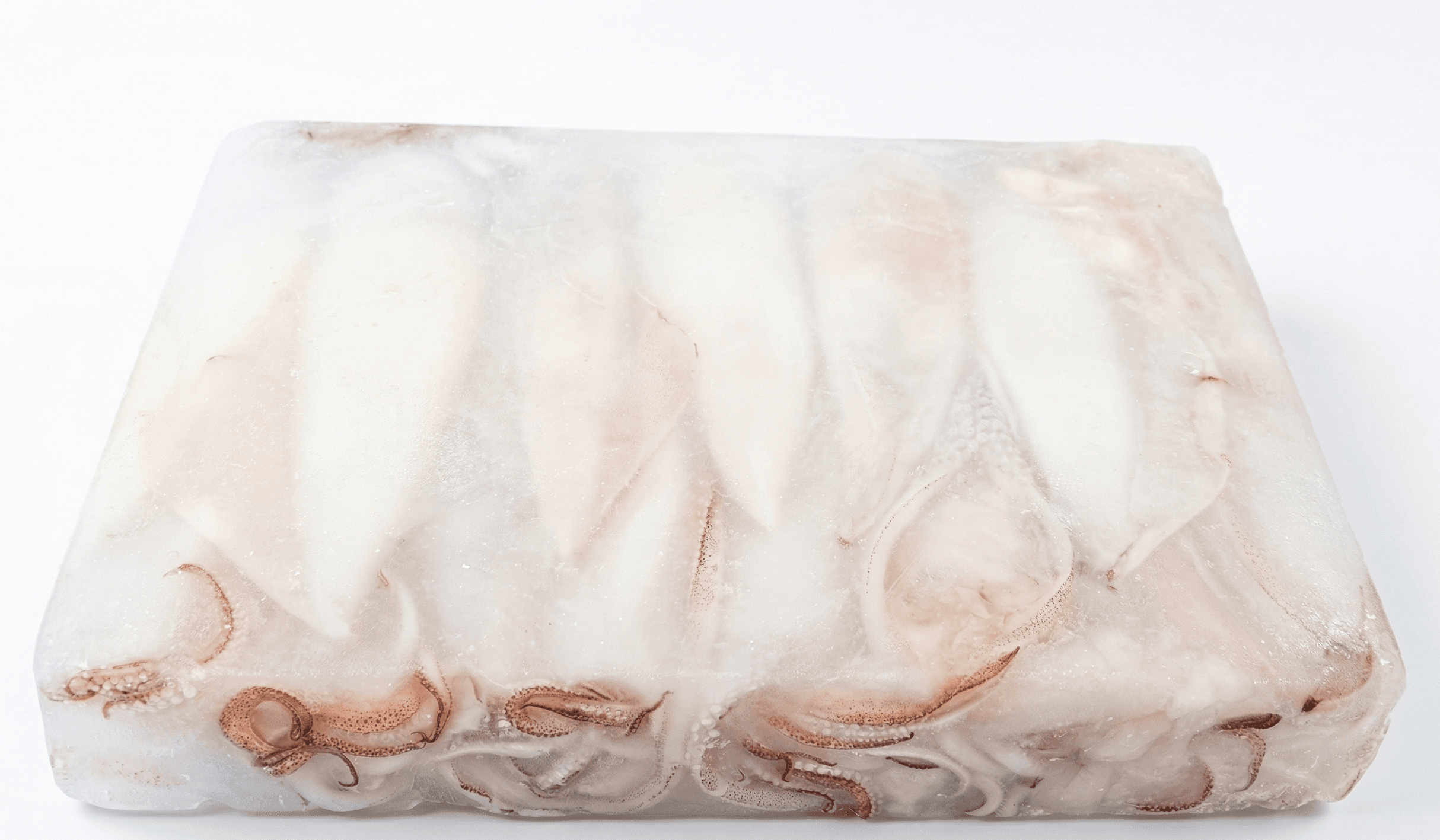 Calamari Puliti Indopacifici 