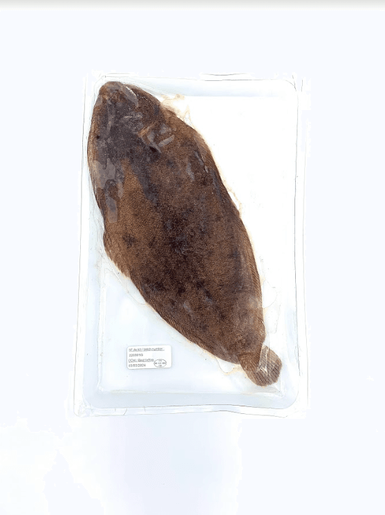 Sogliola Dover Intera eviscerata 