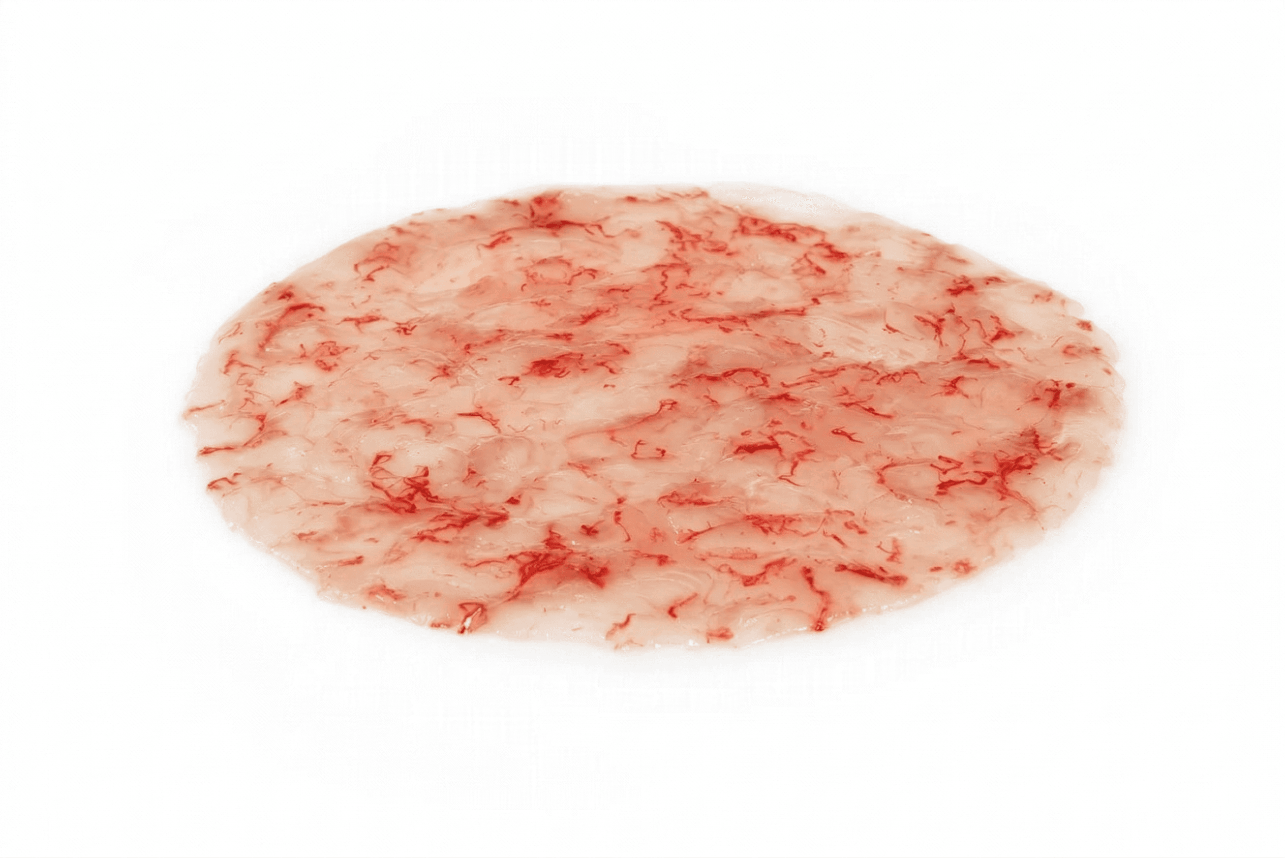 Carpaccio gambero viola Mediterraneo