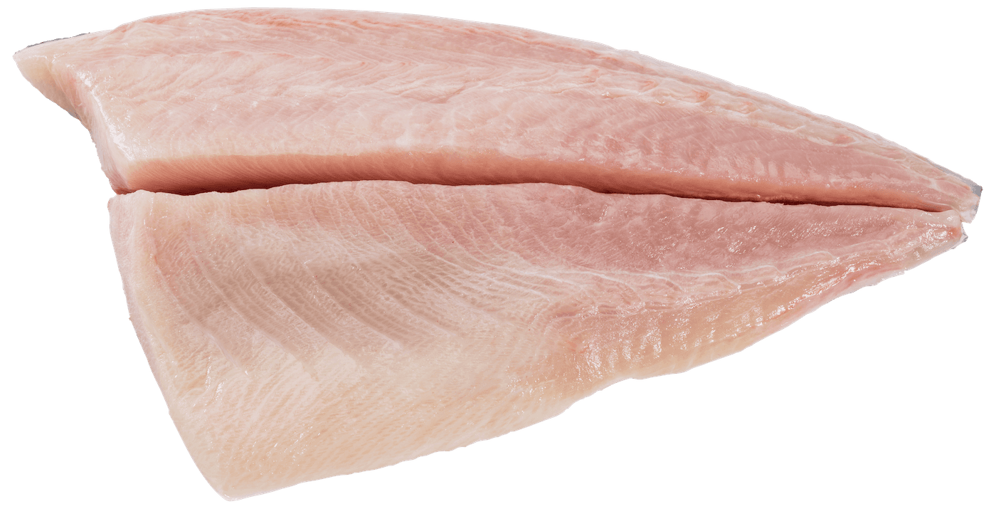Filetto di Ricciola J-cut Kingfish