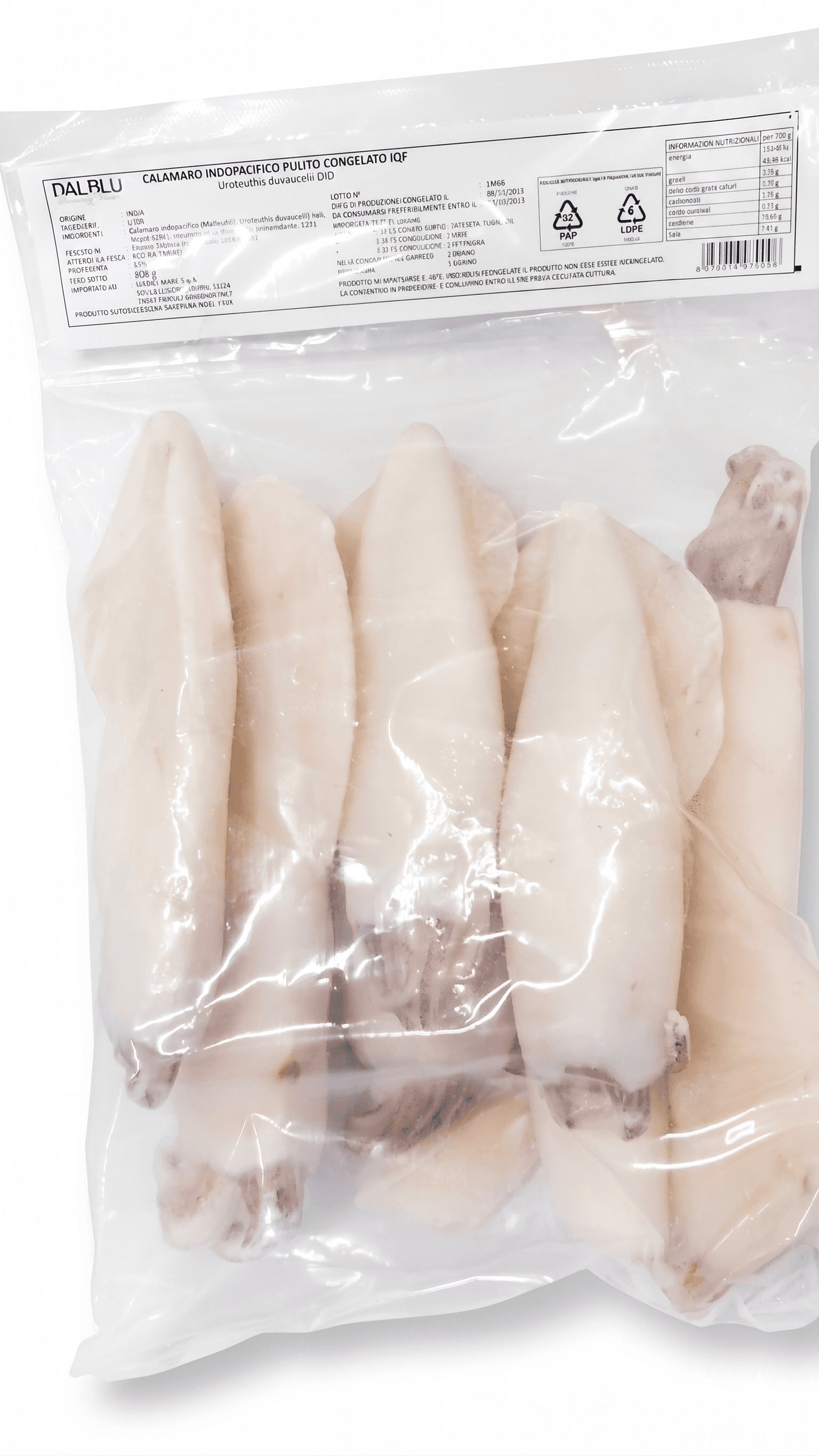 Calamari Puliti Indopacifici 