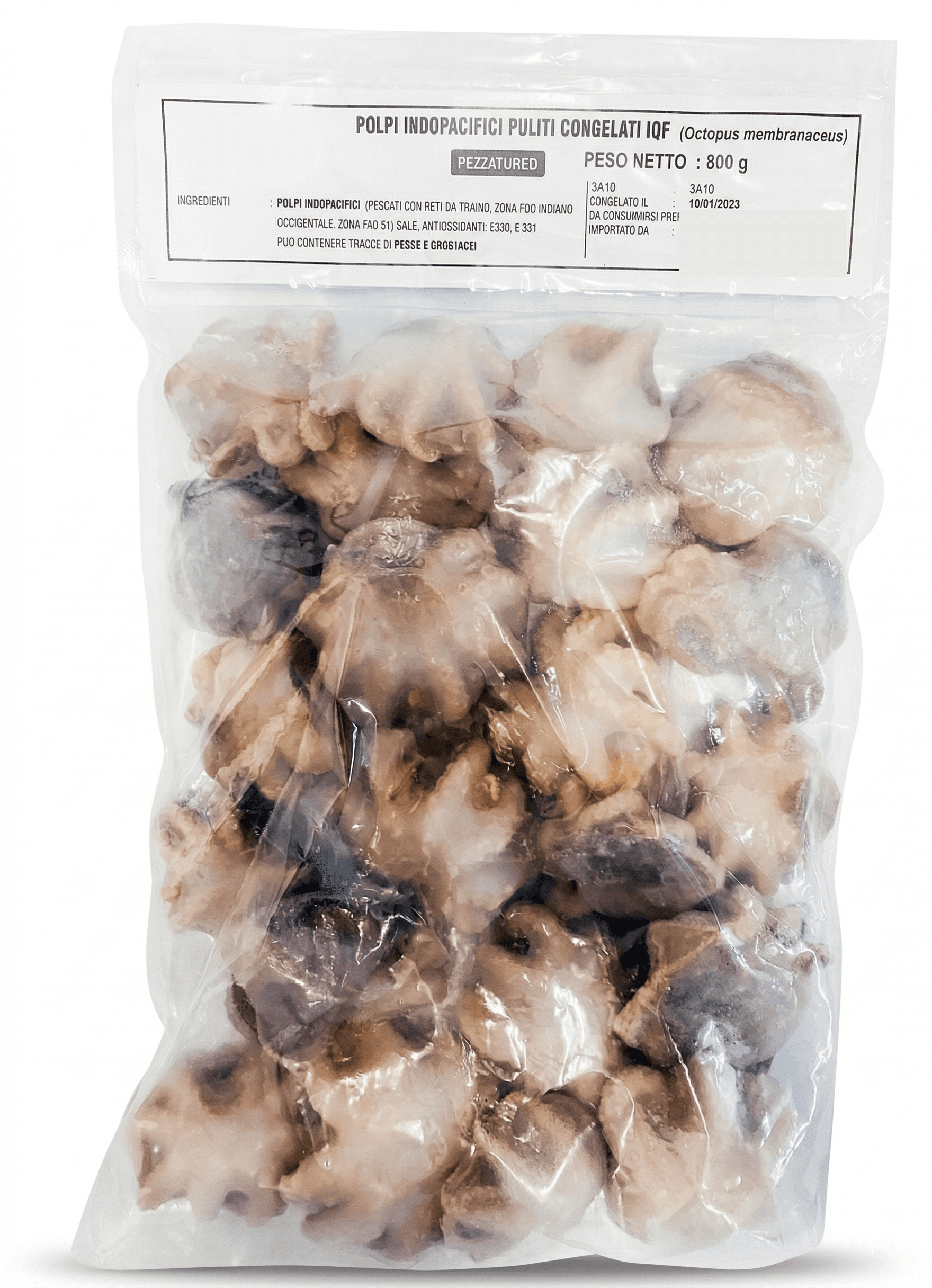 Polipetti Moscardini 