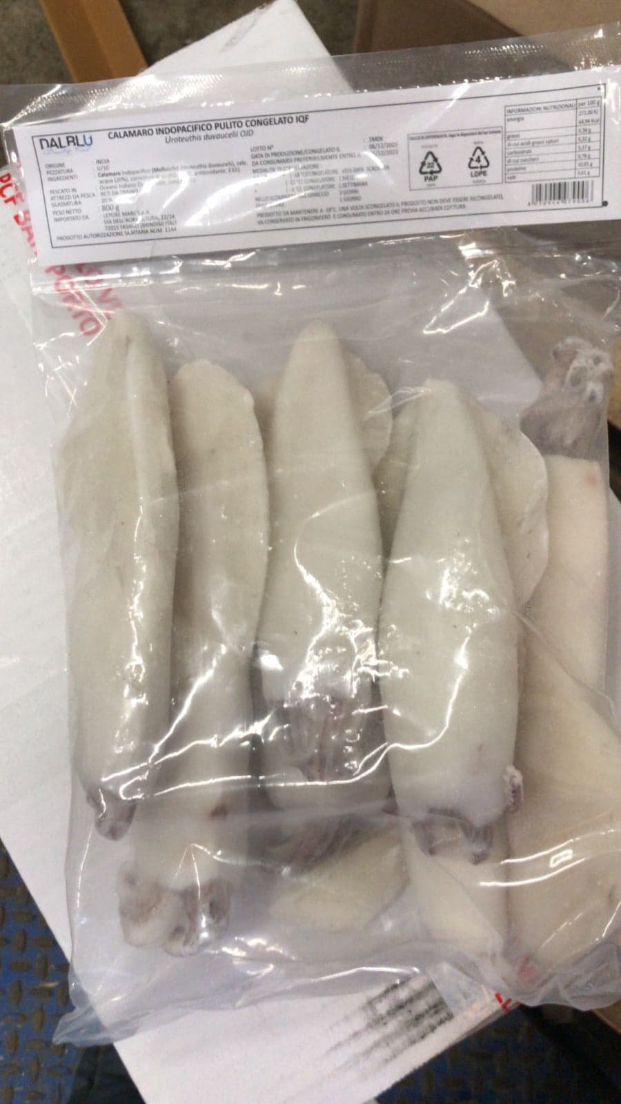 Calamaro Indopacifico Pulito IQF