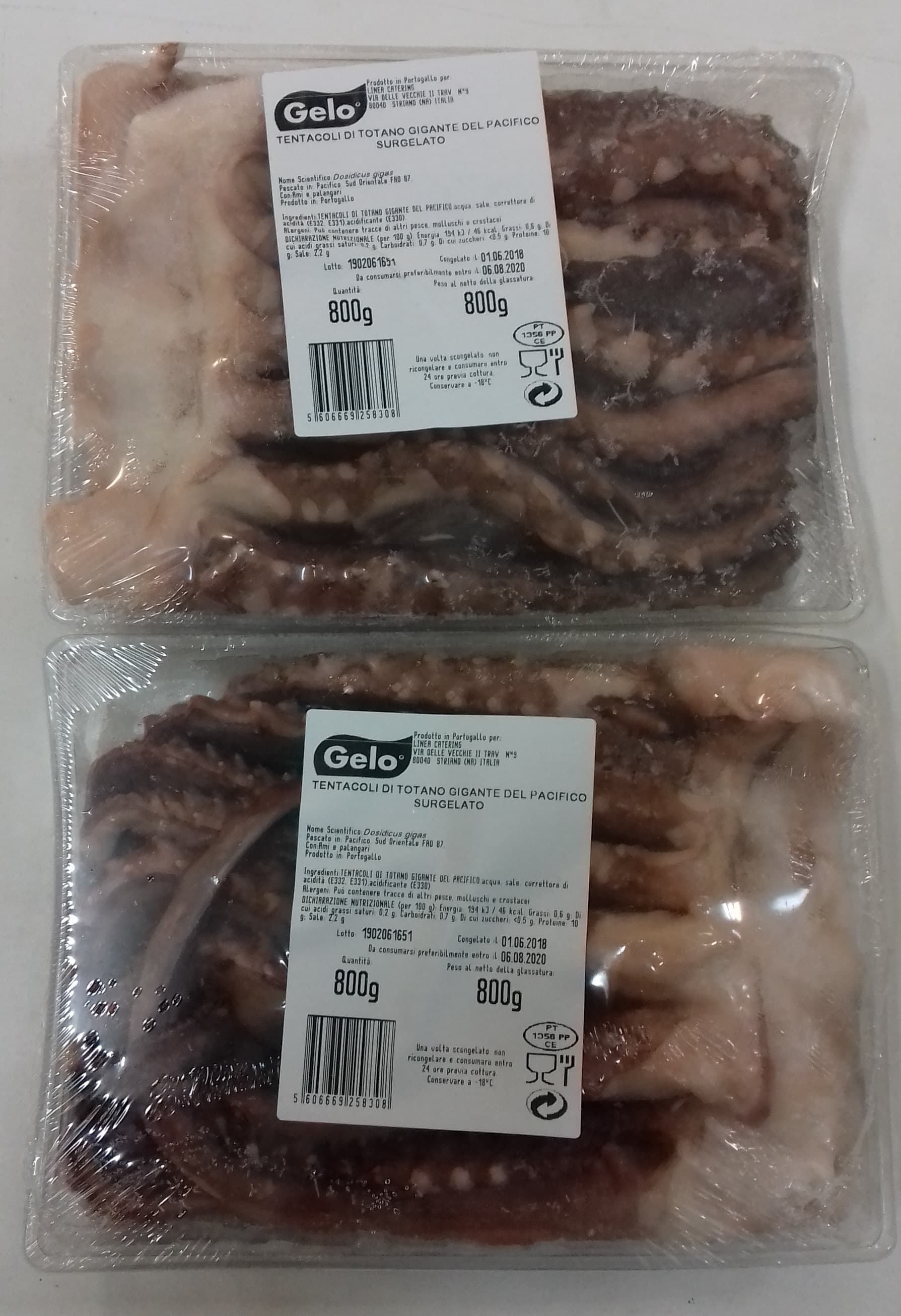 Tentacoli Di Gigas Interi Crudi