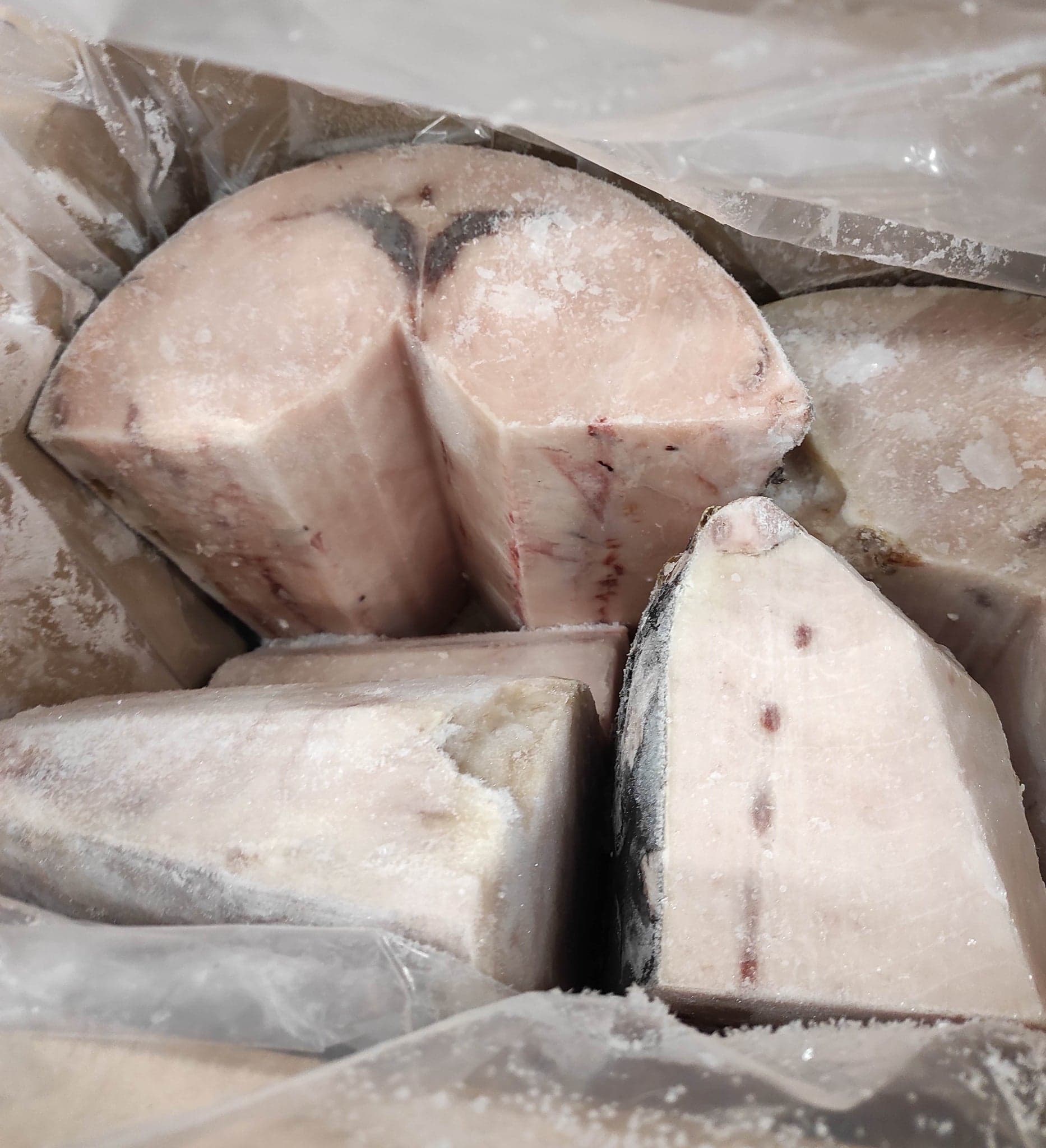 Filone di pesce spada  