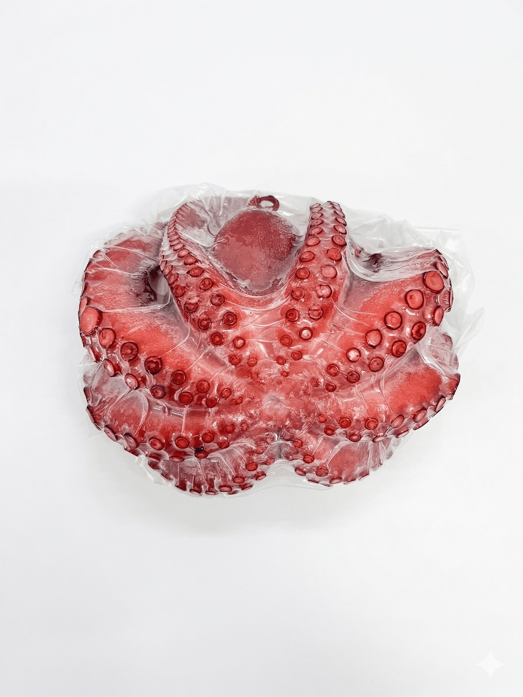 Polpi Cotti Interi Marocco