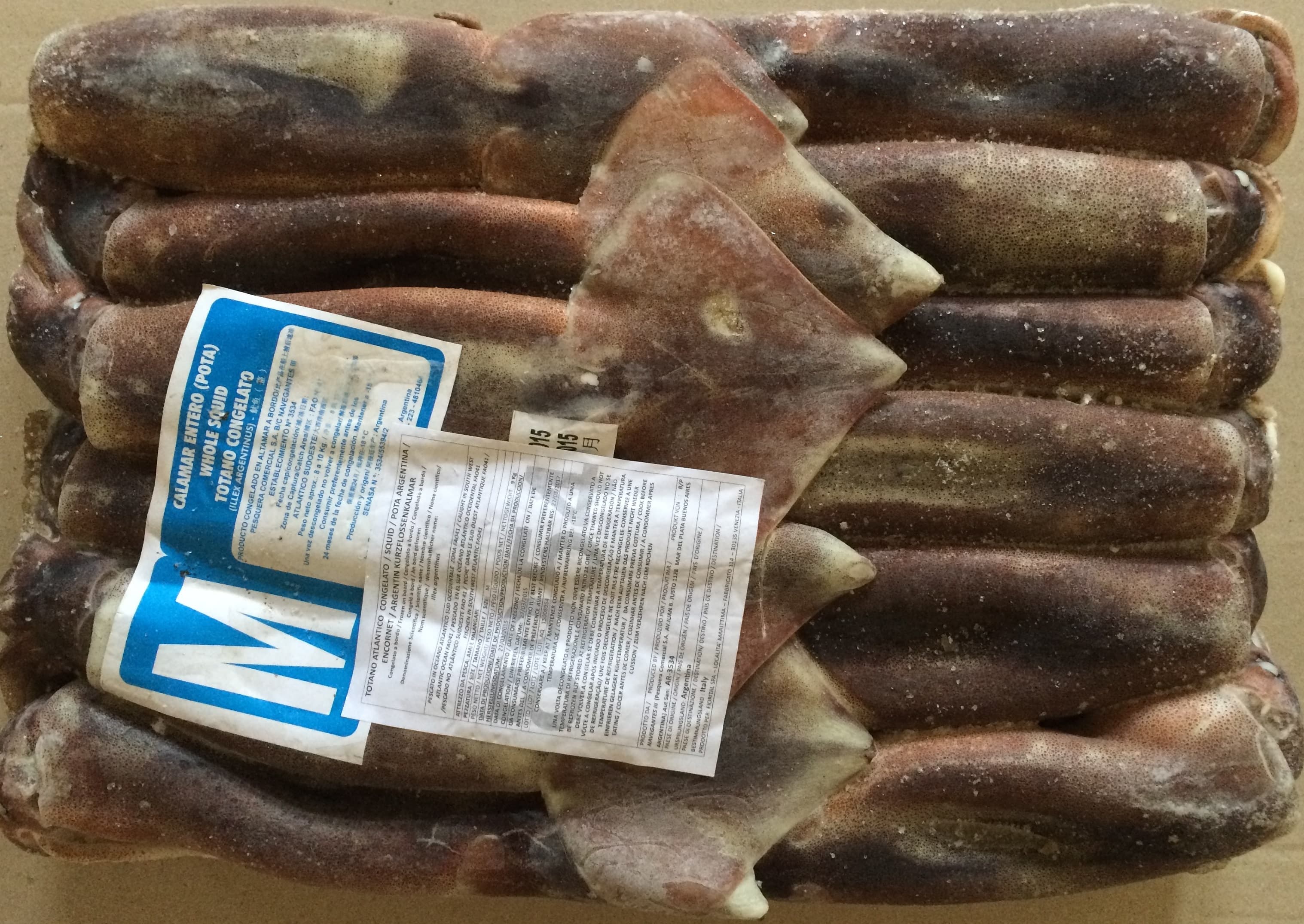 Totani Interi C/Bordo