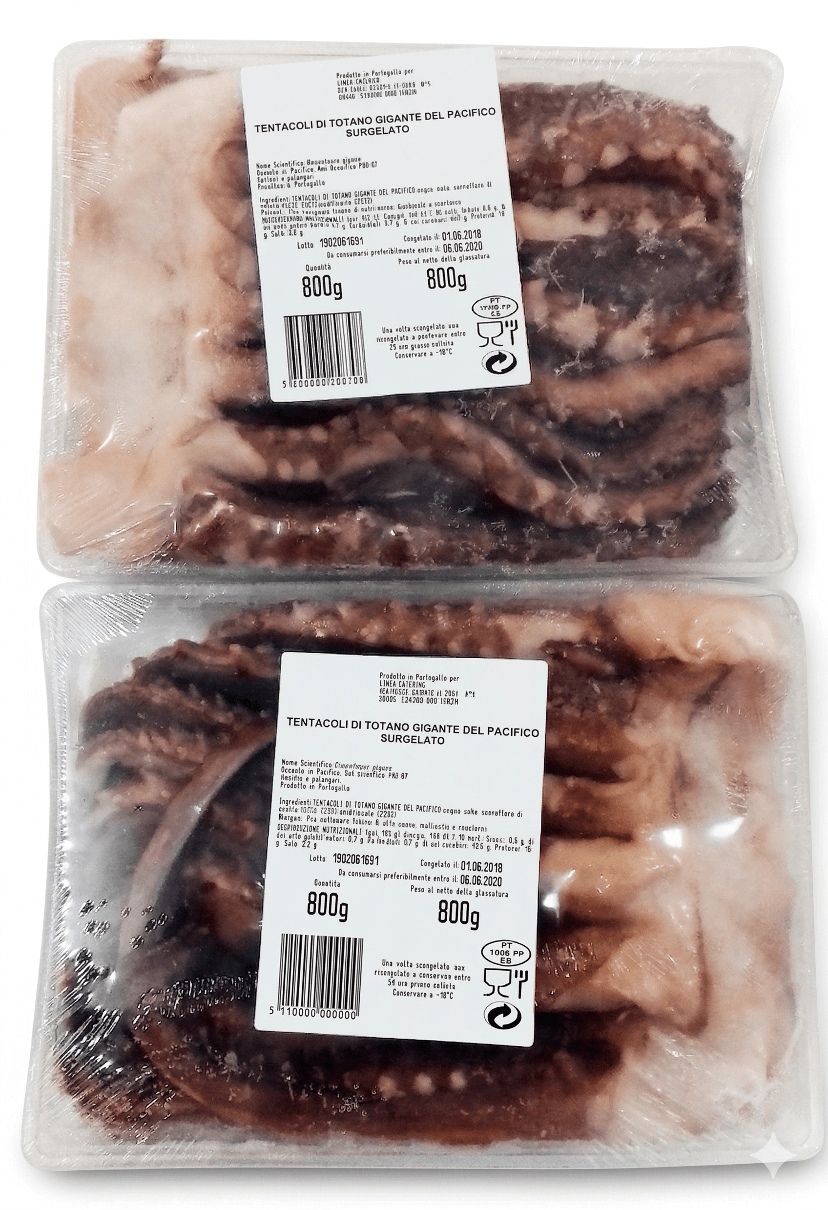 Tentacoli Di Gigas Interi Crudi