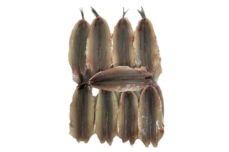 Alici spinate a farfalla 