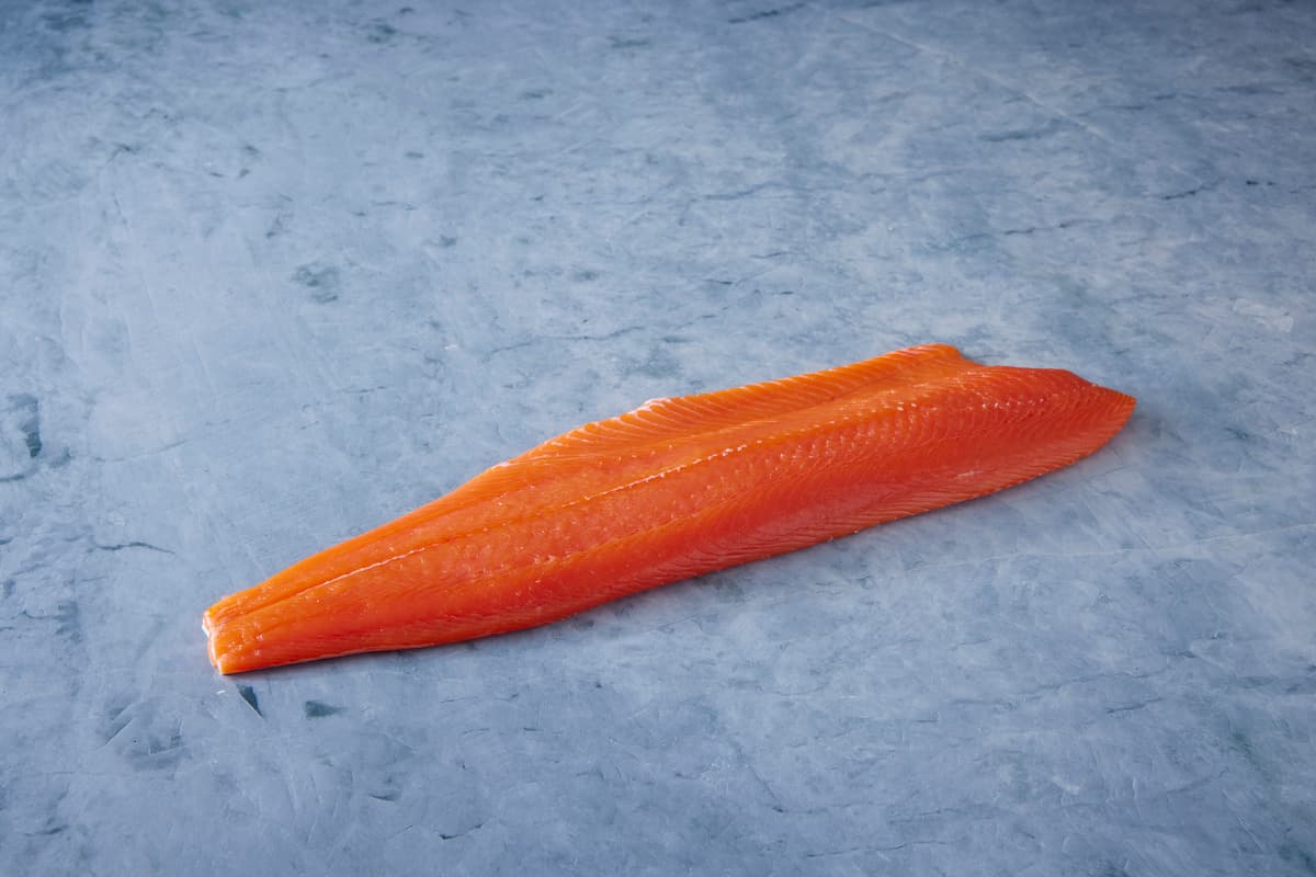 Salmone Coho (Argentato)