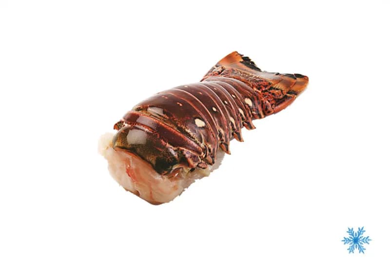 Aragoste tropicali code