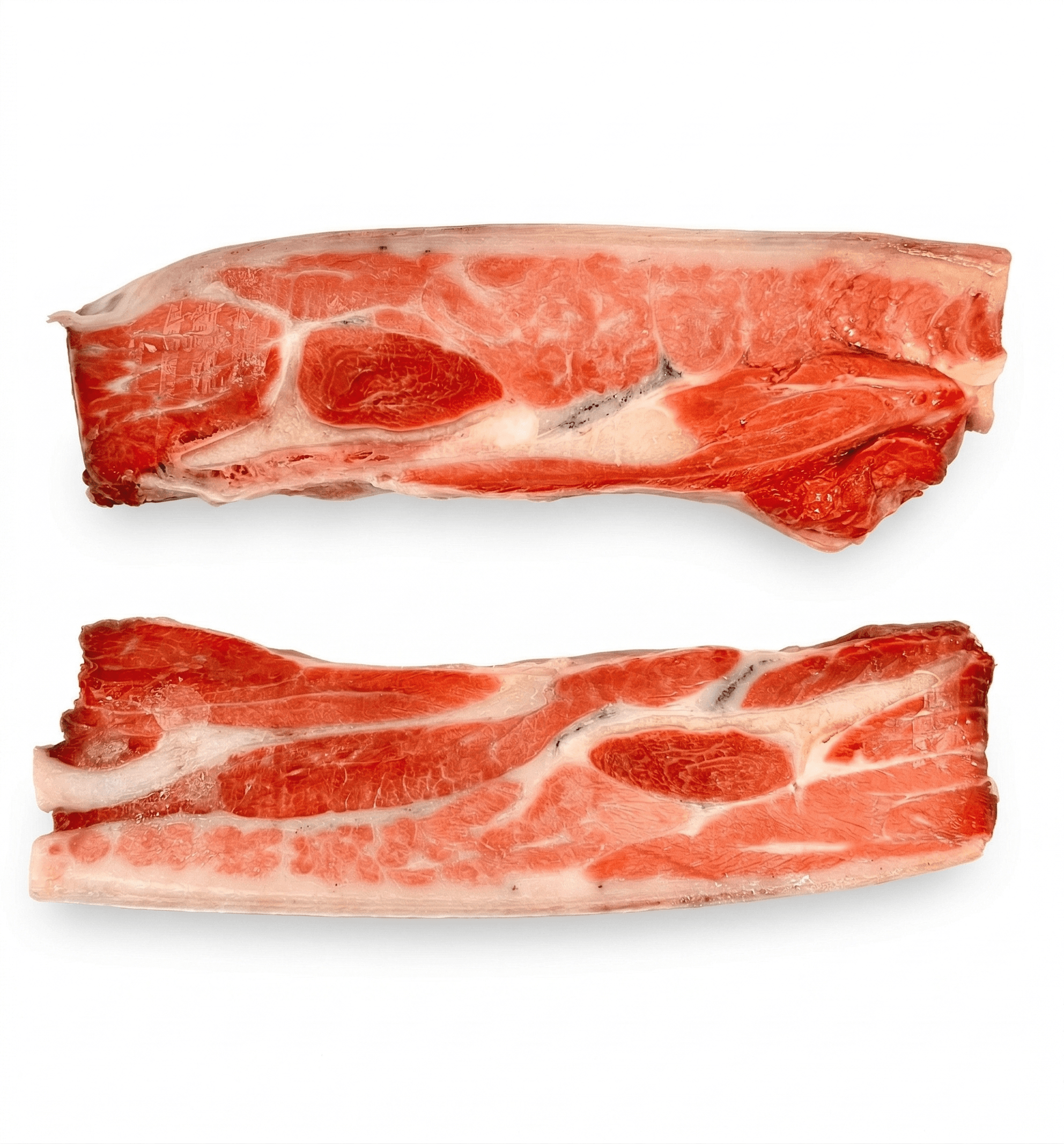 Collare Di Tonno Rosso Pinna Blu -60°