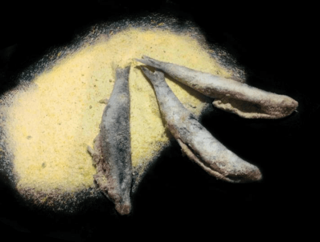 Acciughe liguri infarinate 