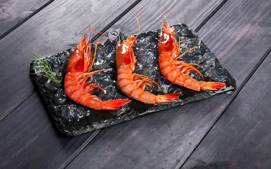 Gambero Viola Puglia