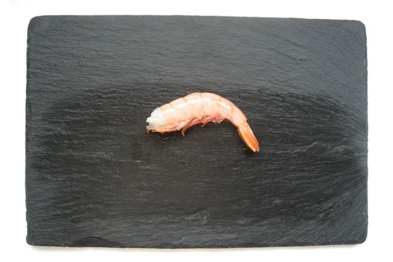 Code di Gambero Argentino ARBUMASA