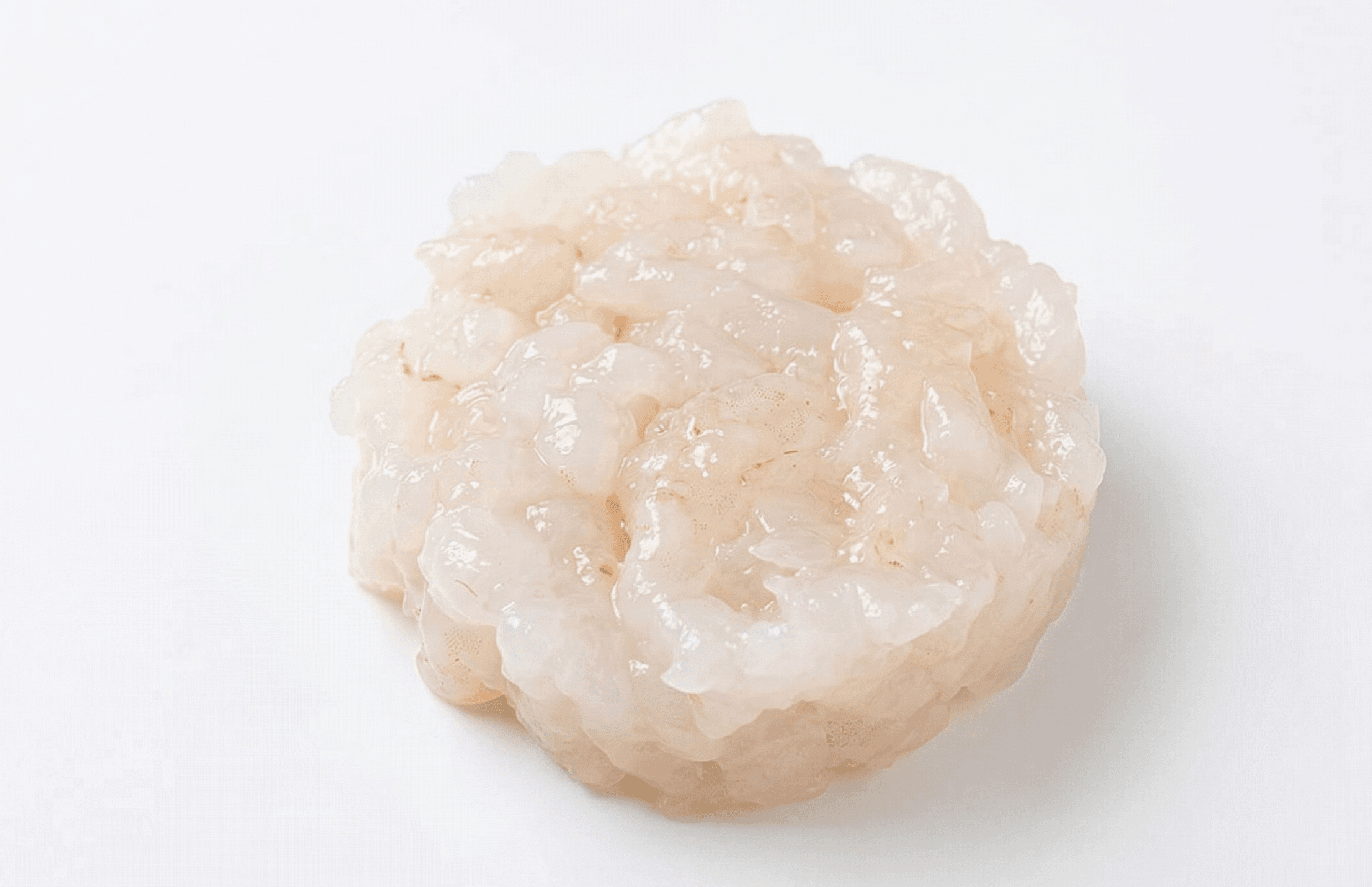 Tartare di Scampi