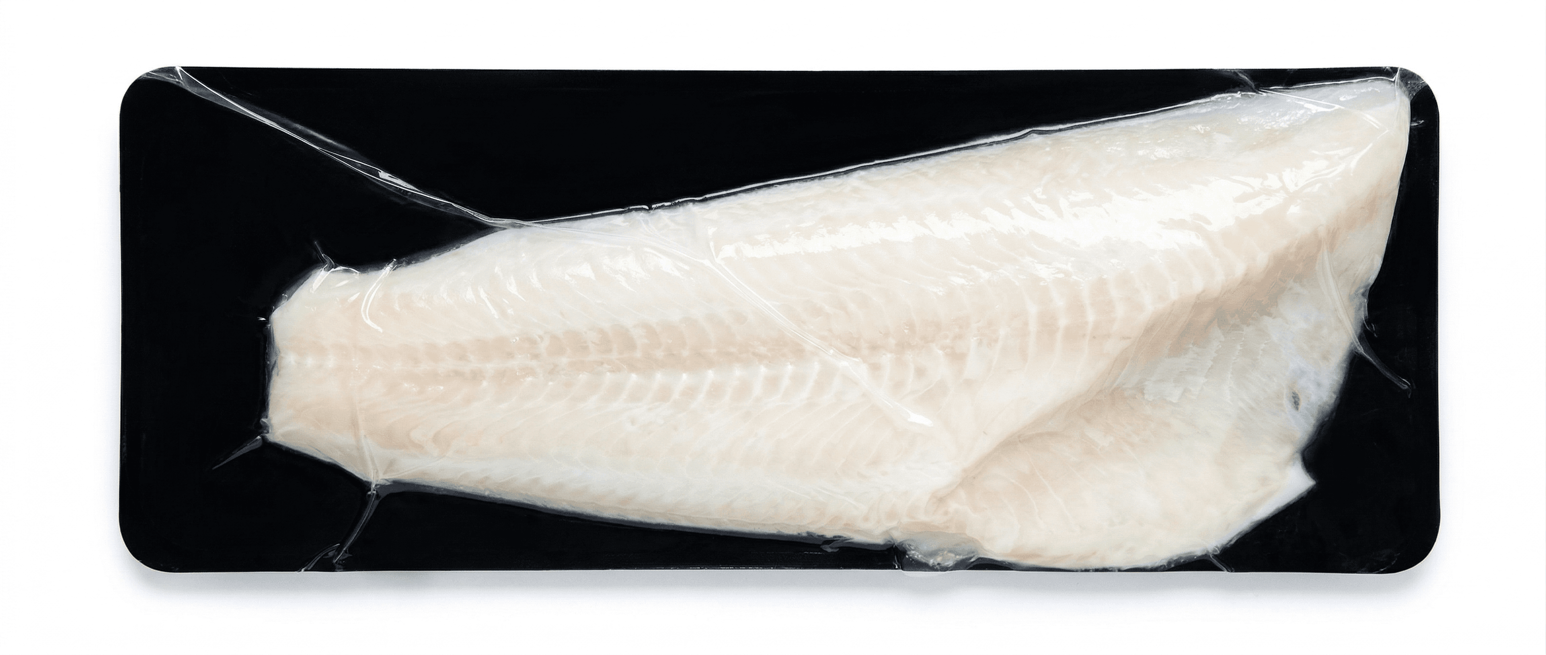 Filetti Di Moro Oceanico