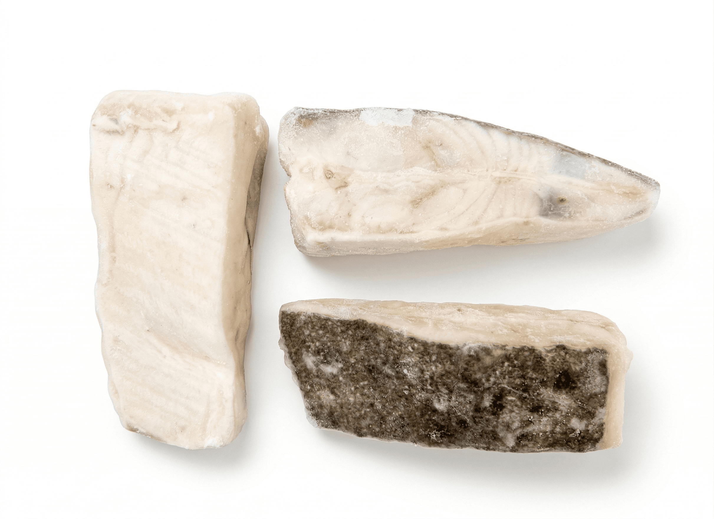 Tranci Di Rombo Chiodato Spagna