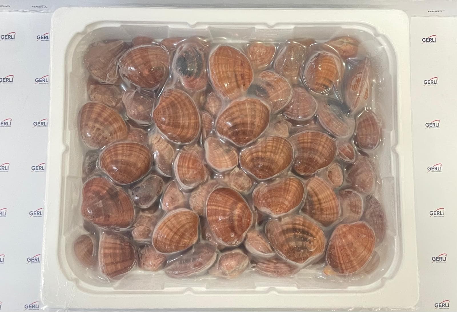 Fasolari Dell'Adriatico Intere