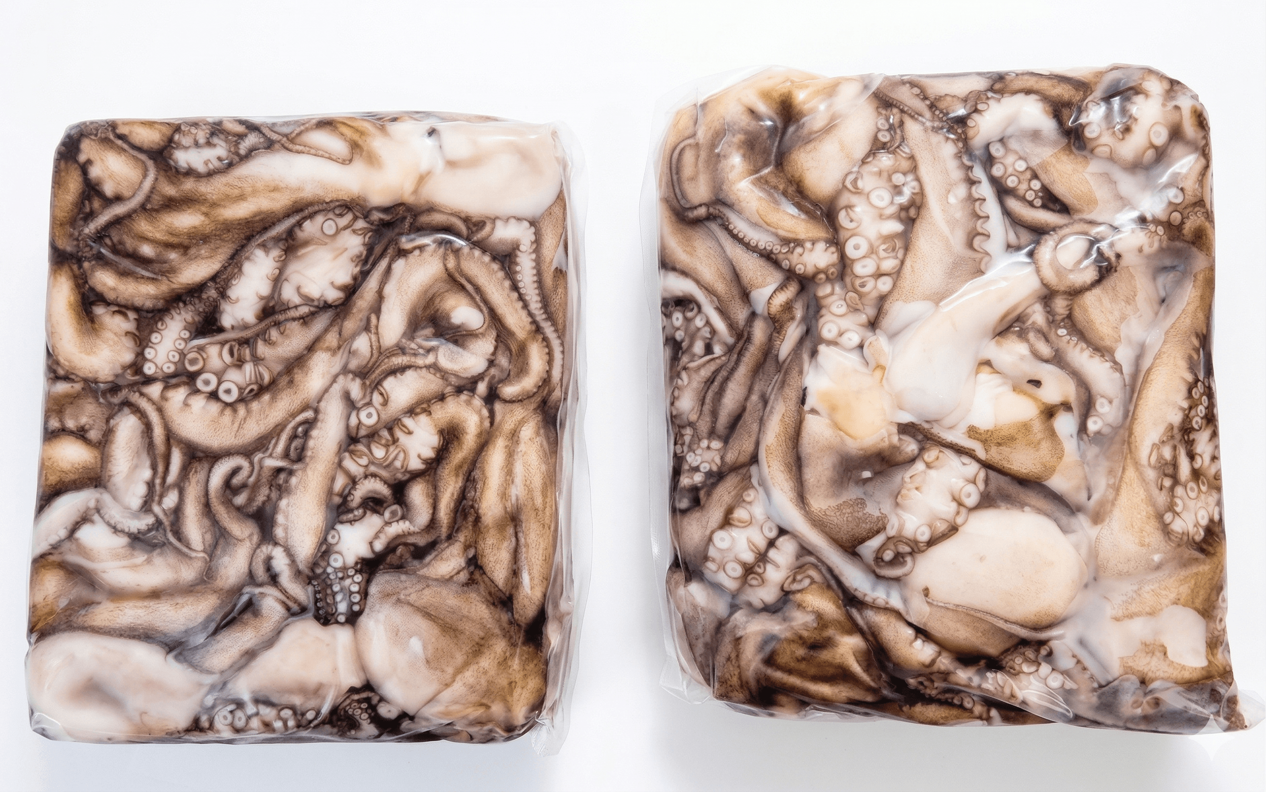 Polpi Marocco Tako C/Bordo