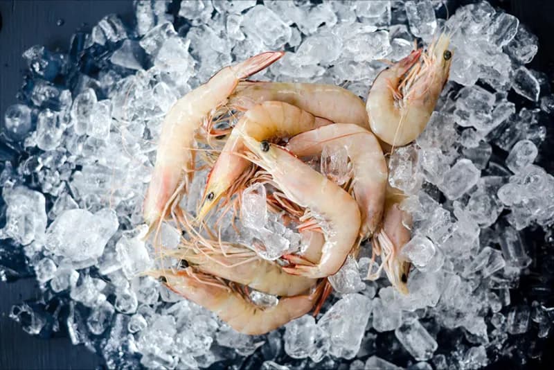 Mazzancolla indopacifica