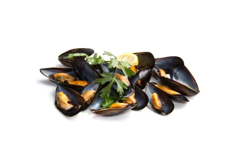Cozze cilene con guscio precotte