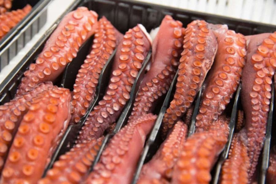 Tentacoli di polpo cotto