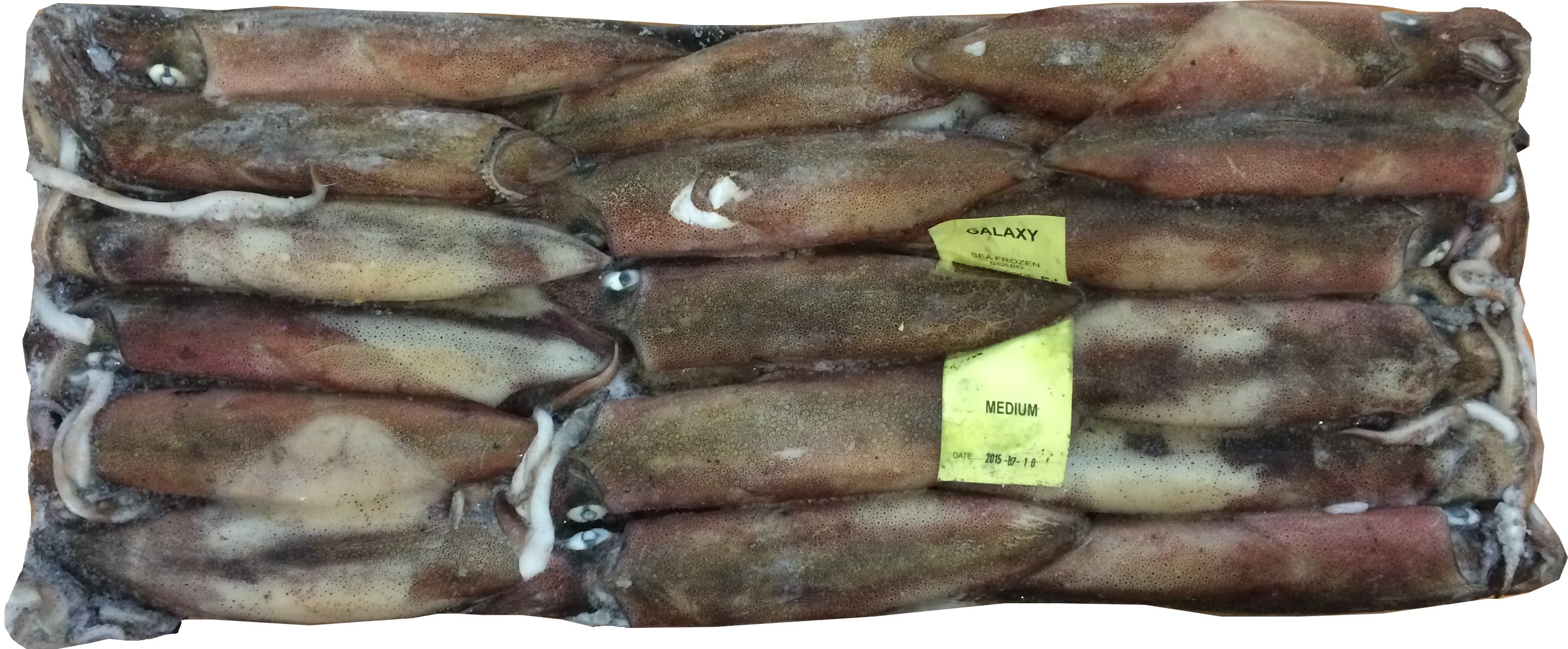 Calamari Sud Africa C/Bordo