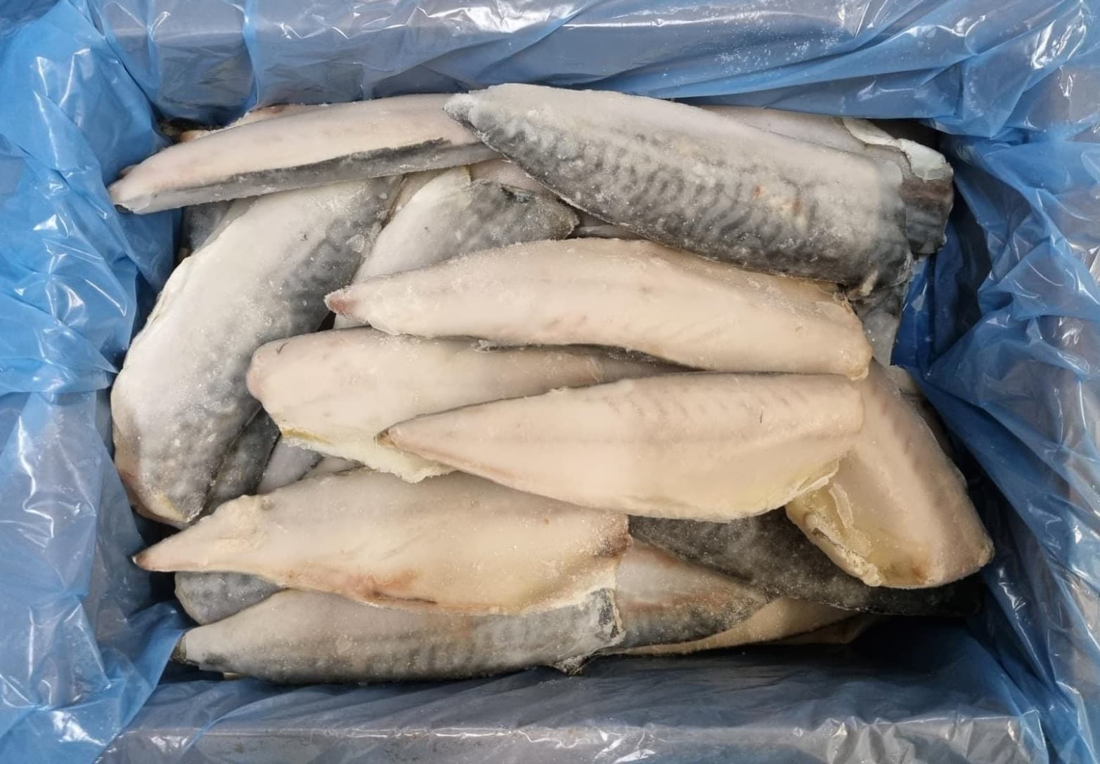 Filetti Di Sgombro C/Pelle