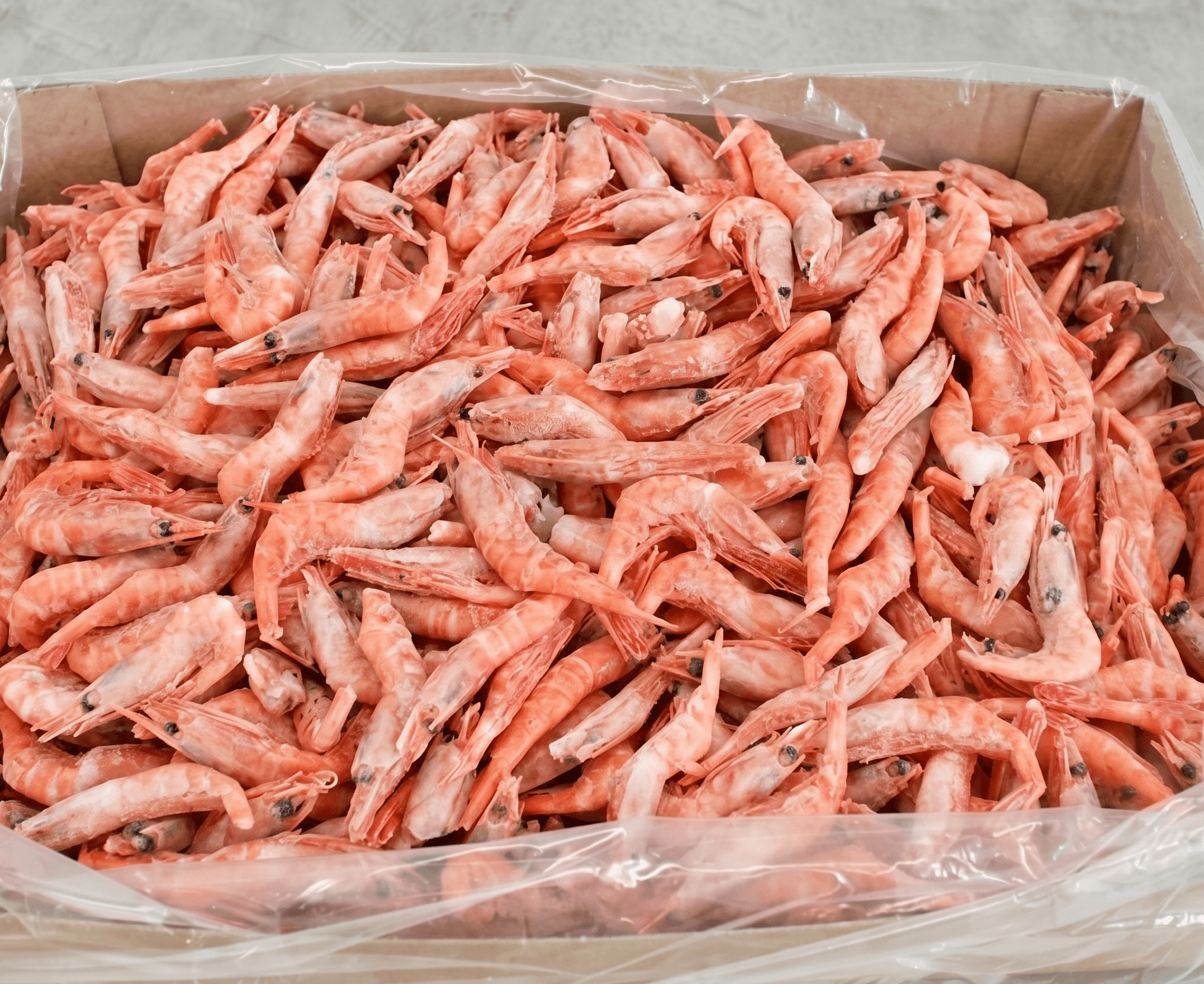 Gamberi Gobetti