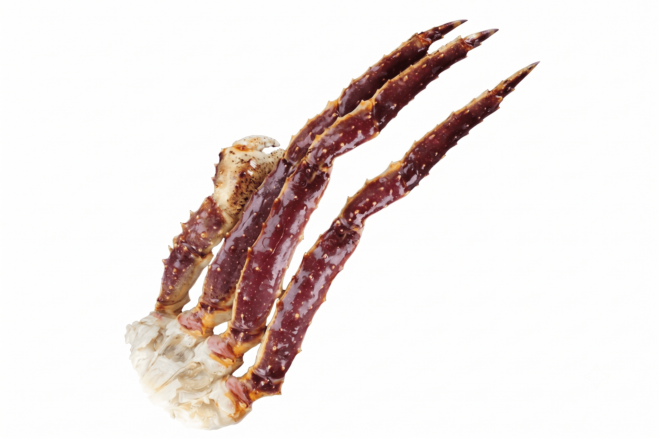 Chele di Granchio Reale (king Crab)