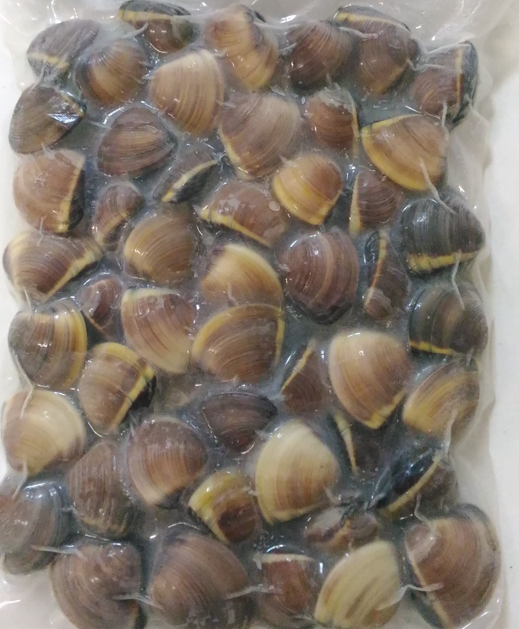 Vongole Con Guscio Precotte Marroni