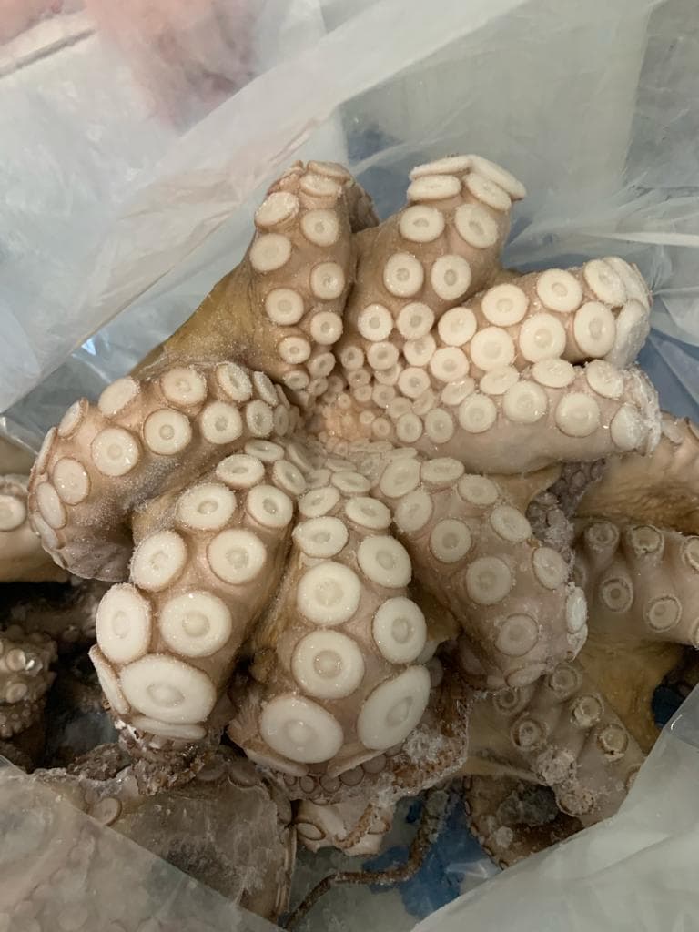 Polpo Marocco IQF