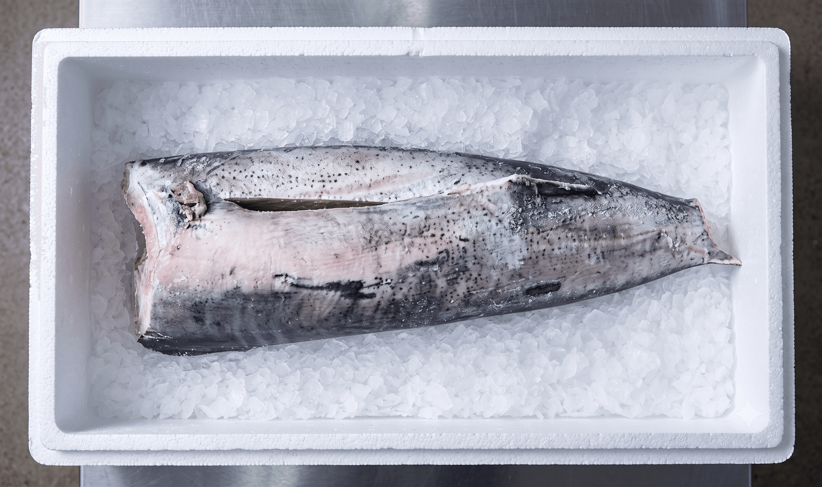 Pesce Spada H&G