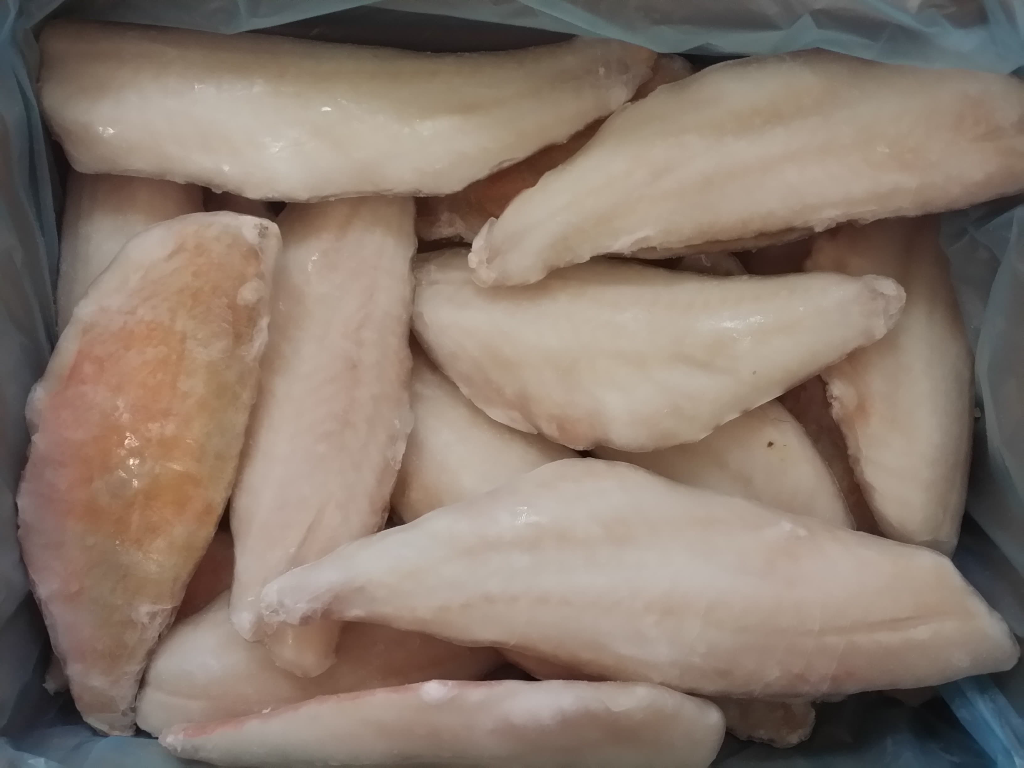 Filetti Di Scorfano Cina