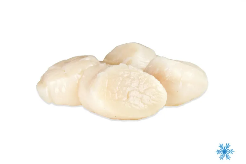 Polpa capasanta Atlantico 