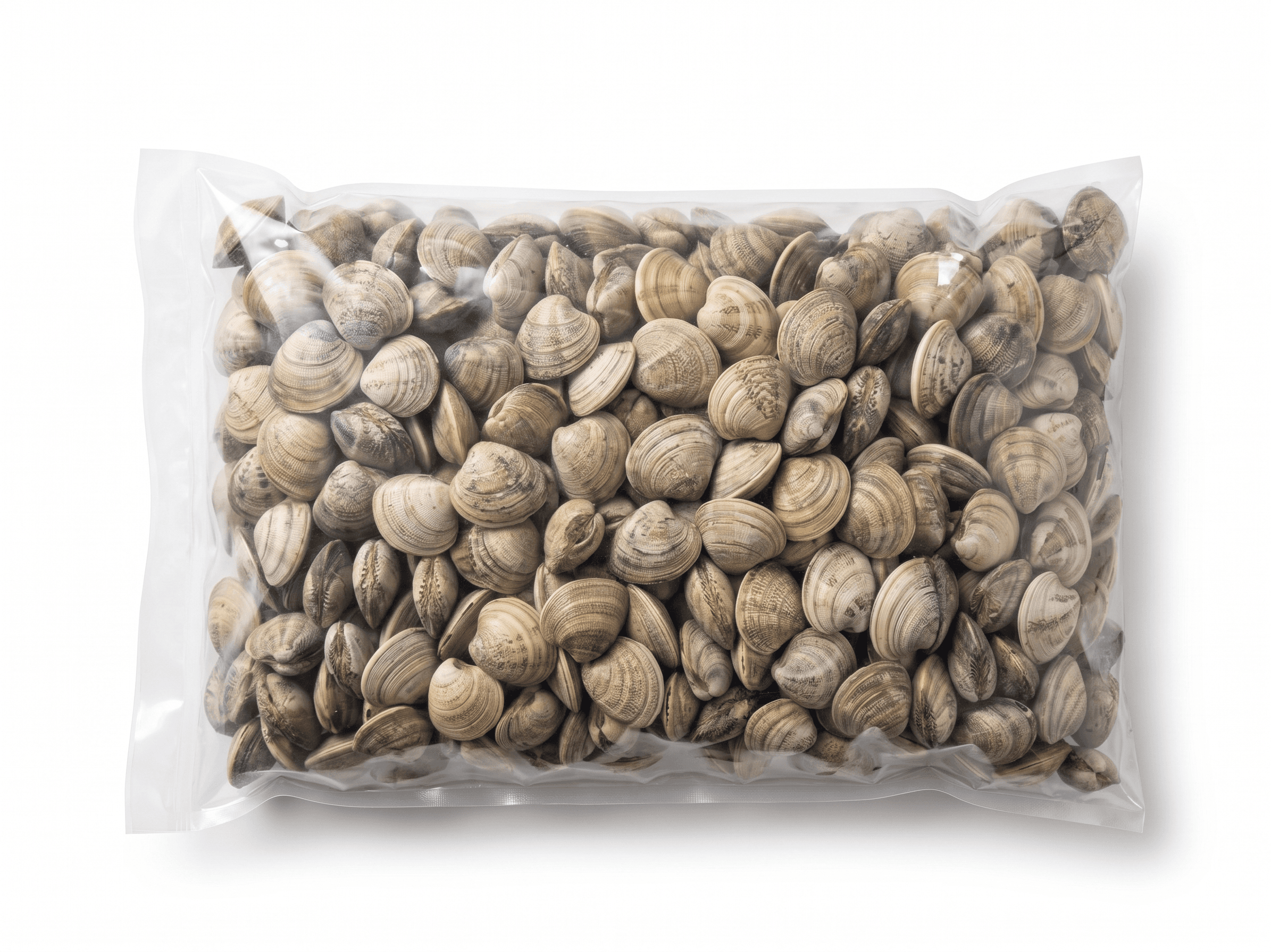 Vongole lupino con guscio