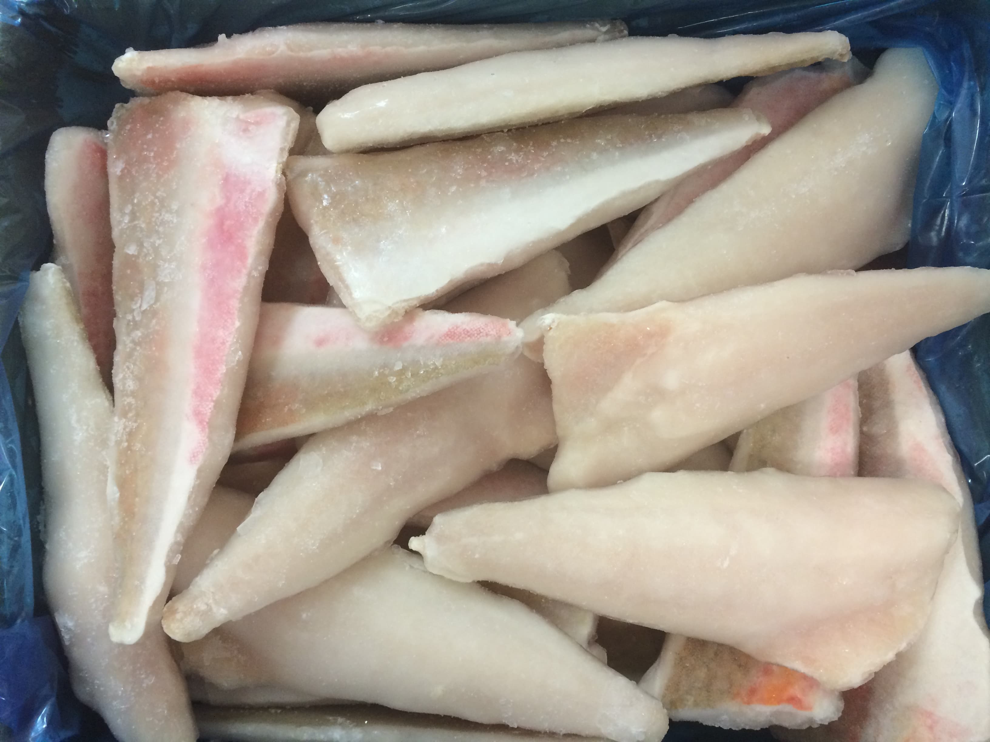 Filetti Di Gallinella 