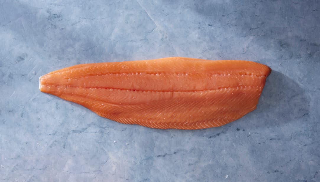Salmone Keta