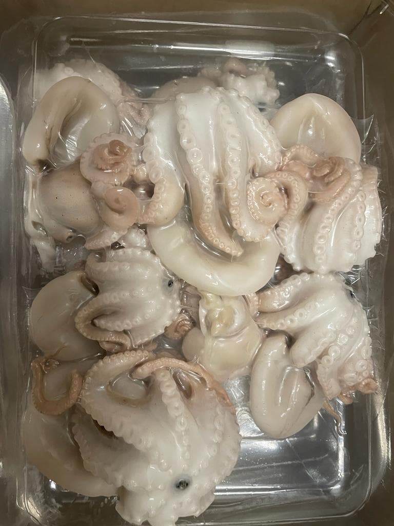 Moscardino Arricciato Mediterraneo IQF