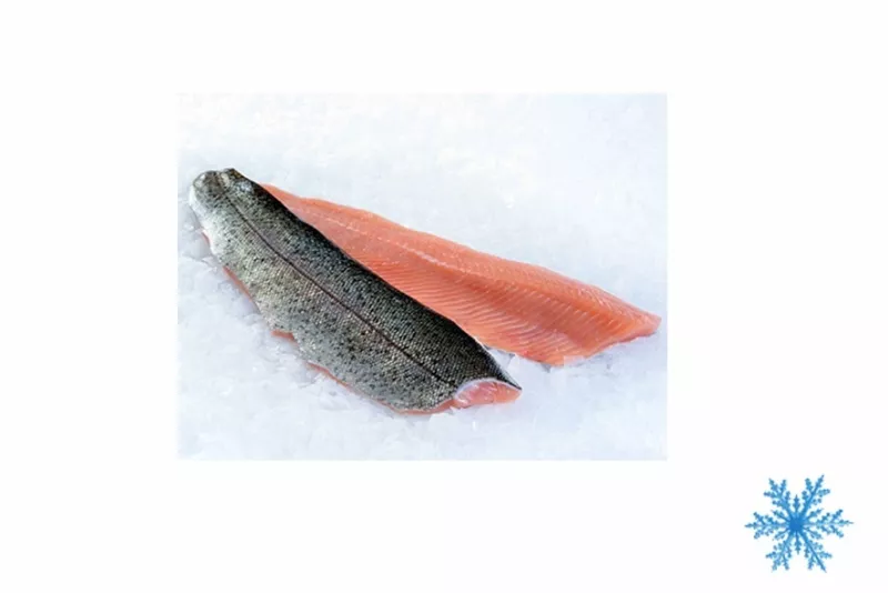 Trota salmonata filetto