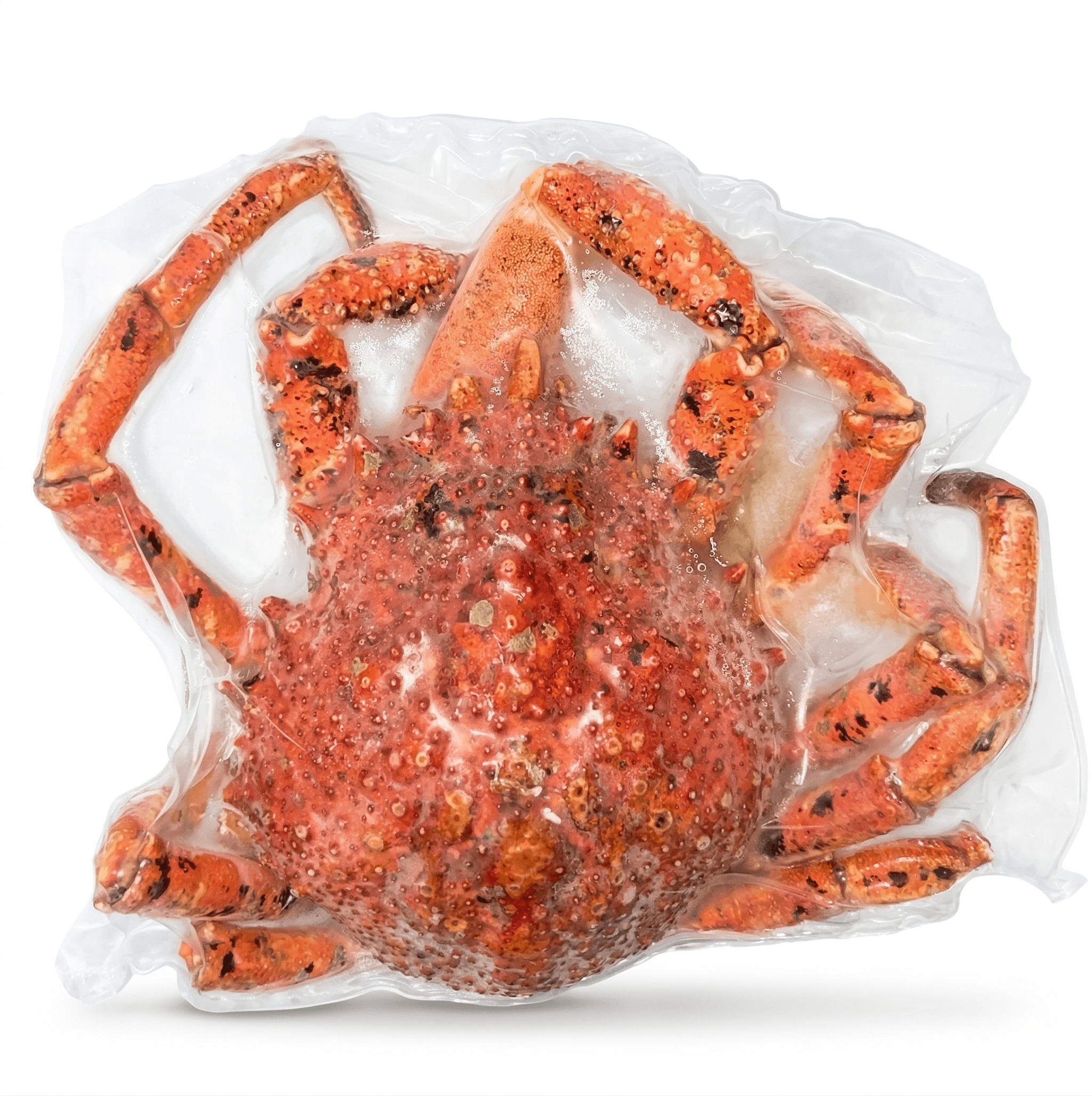 Granseole Irlanda Atlantiche Scottate