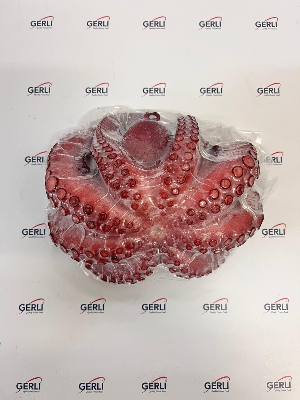 Polpi Cotti Interi Marocco