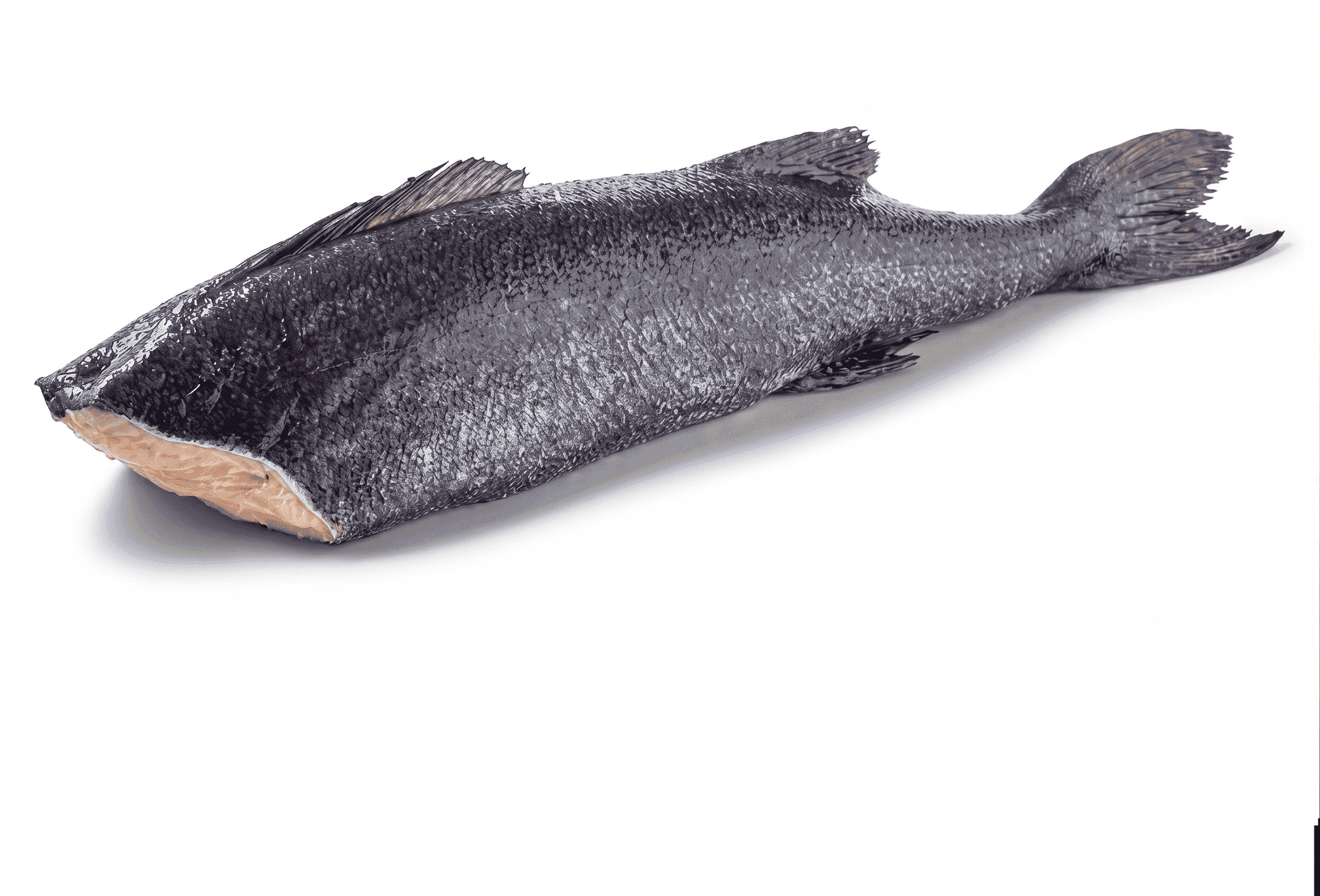 Carbonaro (Black Cod) Alaska H&G