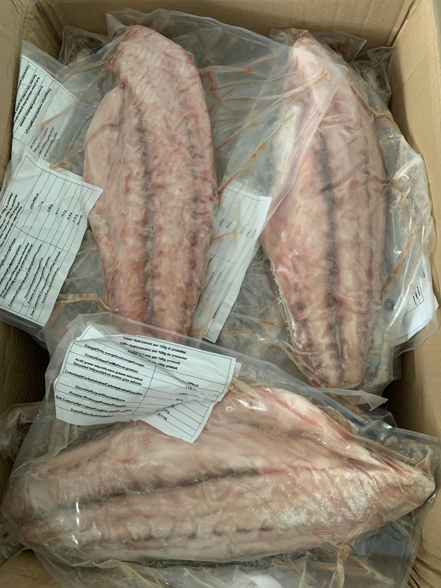 Filetto di ombrina ocellata 