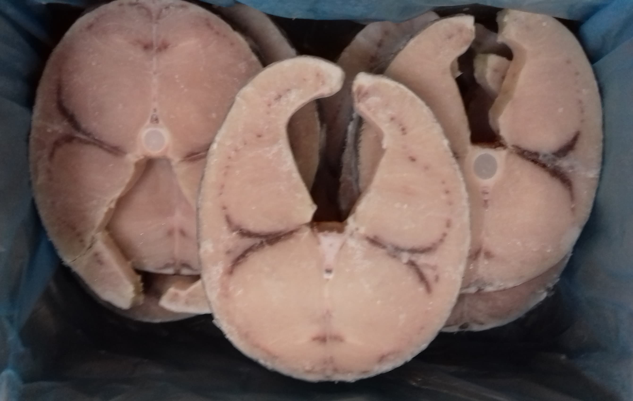 Trance Di Spada Tonde